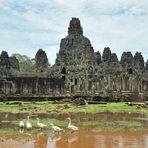 Angkor Thom - Bayon