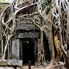 ANGKOR - THOM