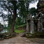 Angkor V