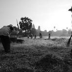 Angkor Wat (1)