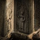 Angkor Wat 10