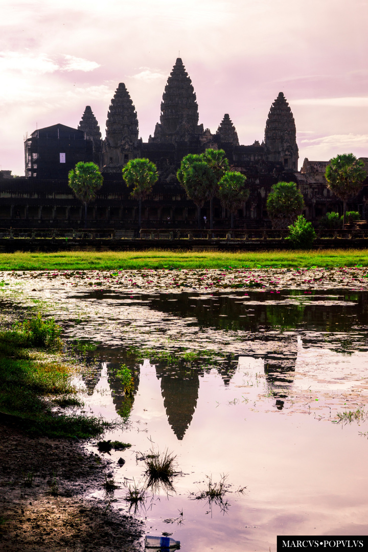 Angkor Wat