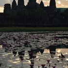 Angkor Wat