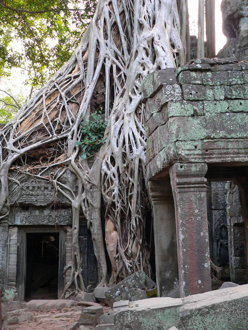 Angkor Wat