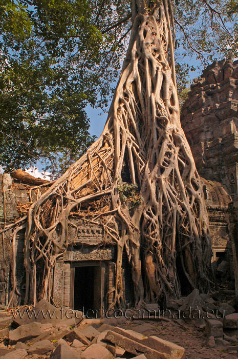 Angkor wat