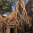 Angkor wat