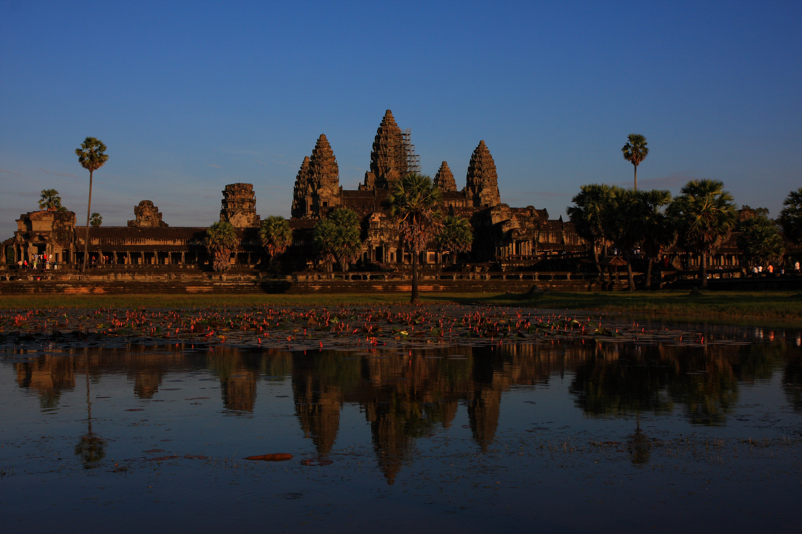 Angkor Wat