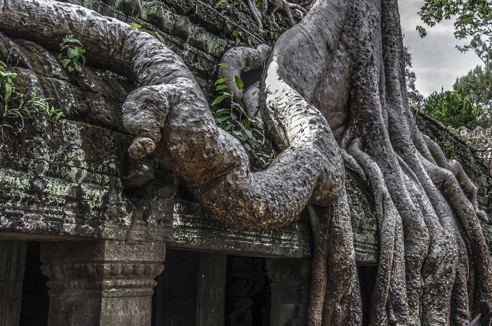   Angkor Wat 