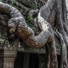   Angkor Wat 