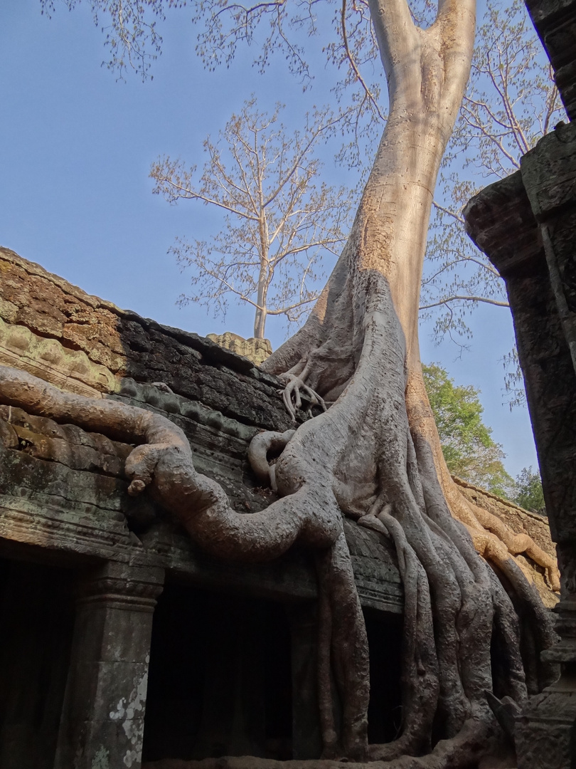 Angkor Wat