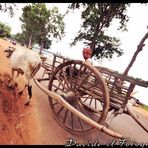 Angkor Wat II