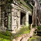 Angkor Wat (Kambodscha / Cambodia)