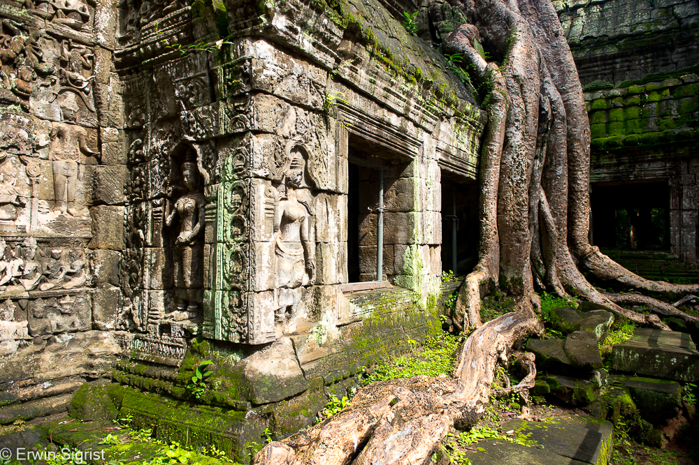 Angkor Wat (Kambodscha / Cambodia)