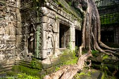 Angkor Wat (Kambodscha / Cambodia)