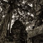 Angkor Wat - Lara Croft`s berühmte Scene im Film