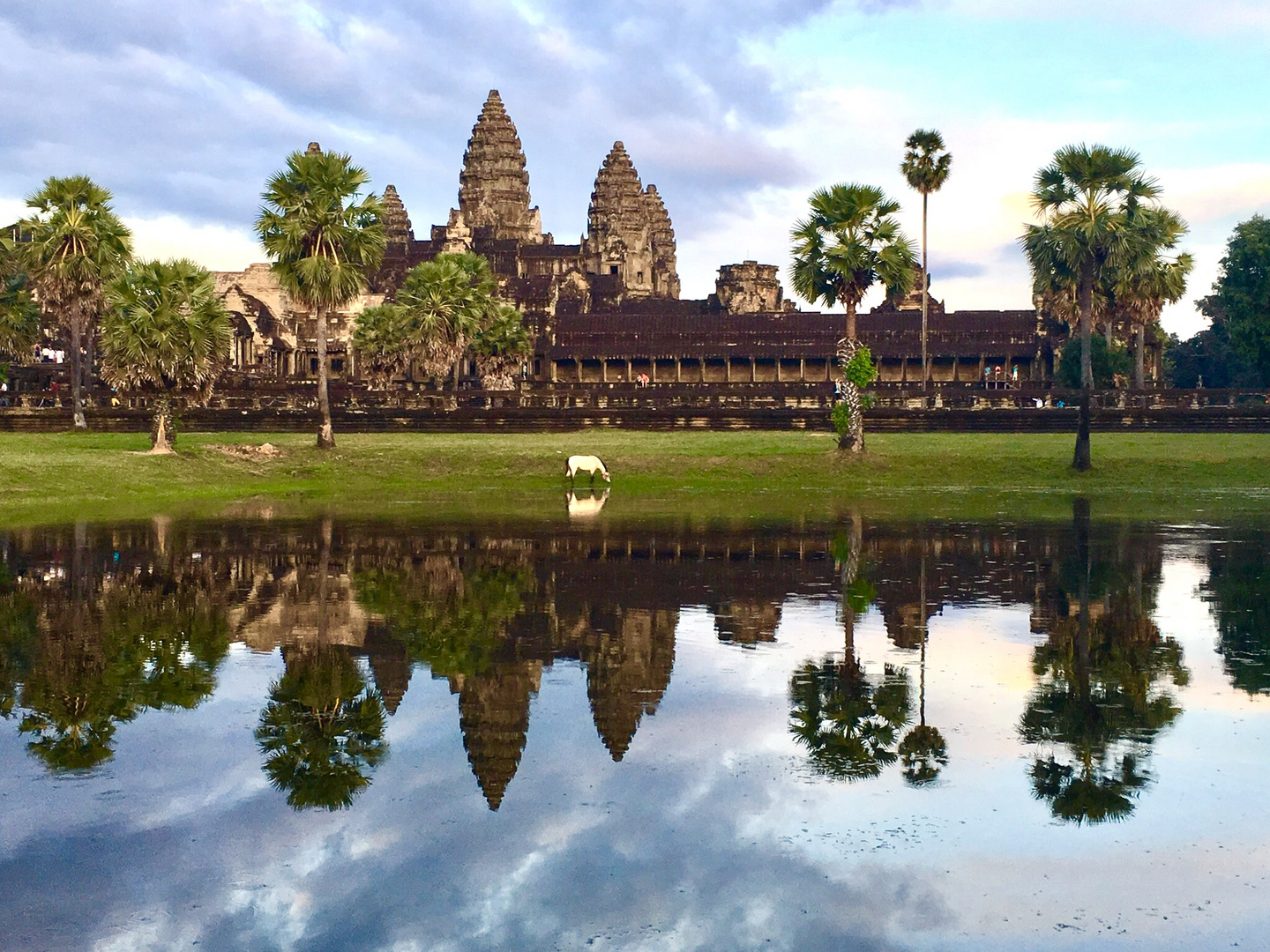 Angkor Wat mit Pferd -Spiegelung