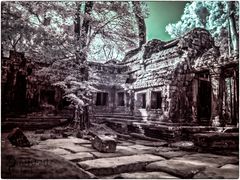 Angkor Wat Ta Prohm Infrared Kambodscha