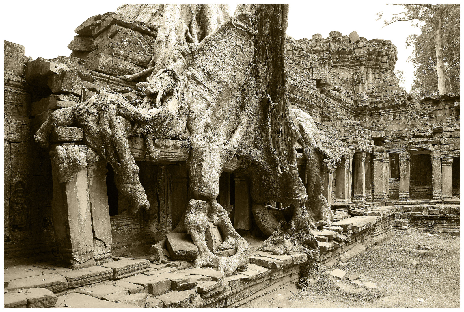 Angkor Wat -Ta Prohm Wat