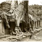 Angkor Wat -Ta Prohm Wat