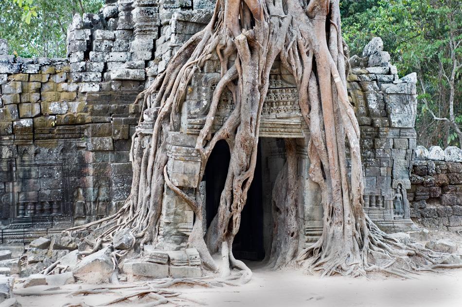 Angkor - Wat Ta Som