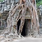 Angkor - Wat Ta Som