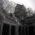 Angkor Wat - Tha Prohm 2