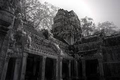 Angkor Wat - Tha Prohm 2
