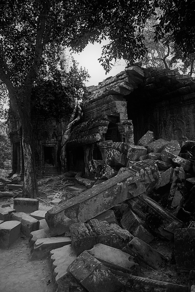 Angkor Wat - Tha Prohm