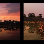 Angkor Wat - zum Sonnenaufgang ...