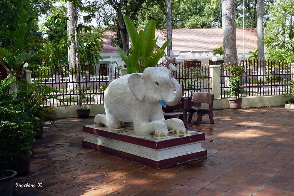 Angkor Watt  -  Im Garten des Klosters