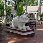 Angkor Watt  -  Im Garten des Klosters