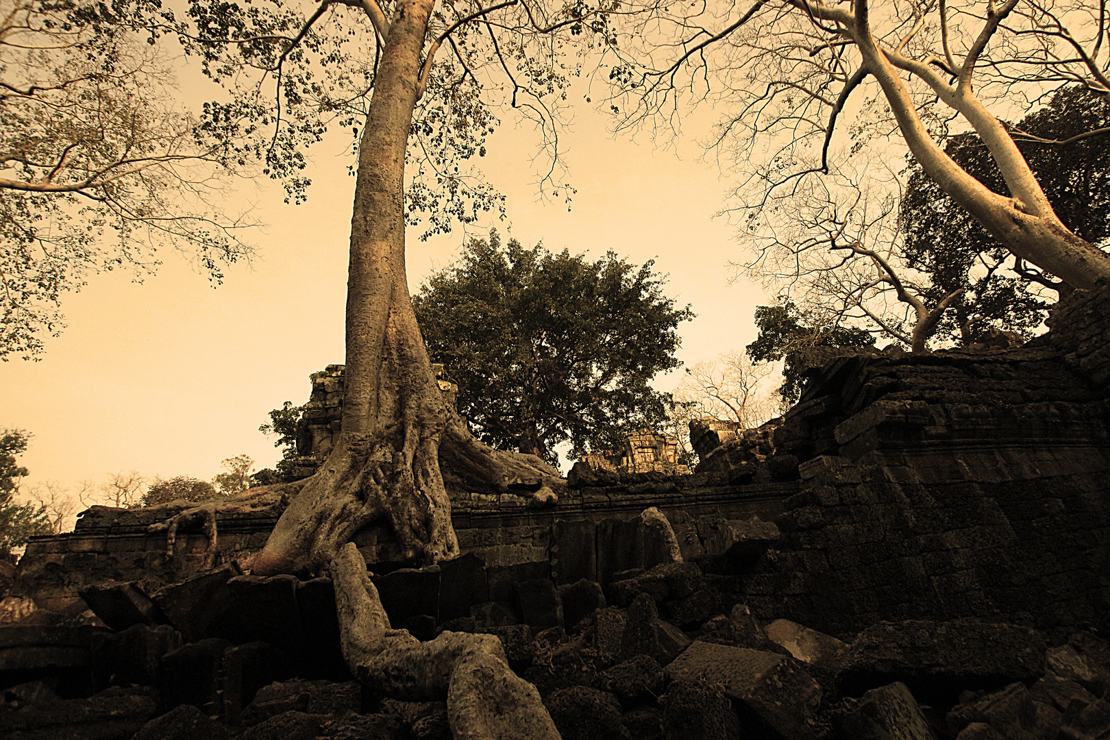 Angkor,c'est ça aussi....