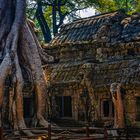 AngkorWat