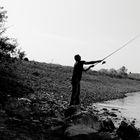 Angler