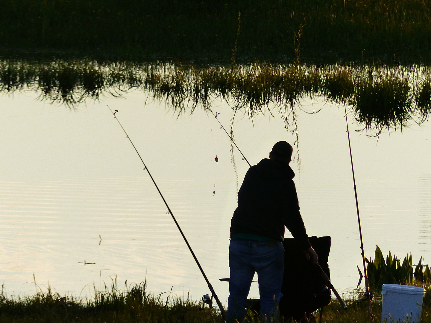 Angler