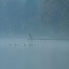 Angler am De Wittsee