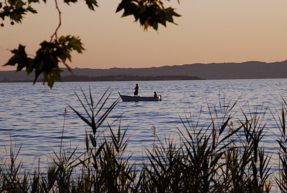 Angler am Gardasee