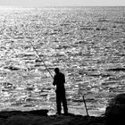 Angler am Meer