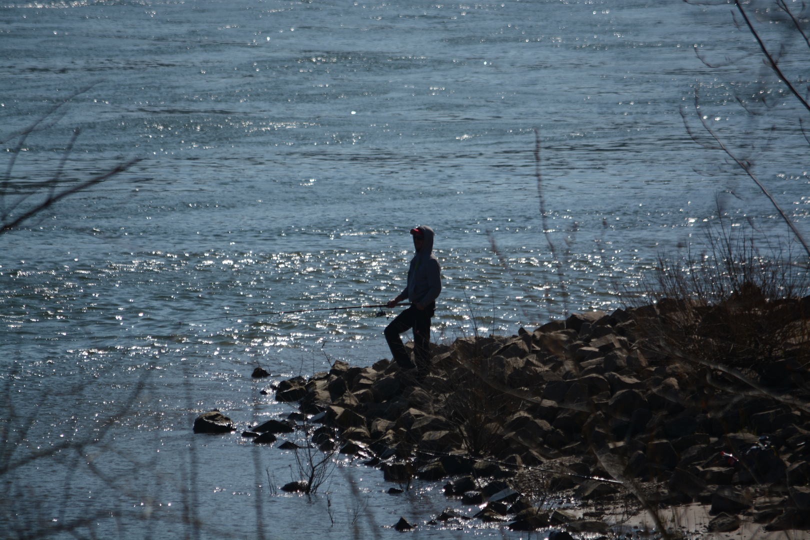 Angler am Rhein