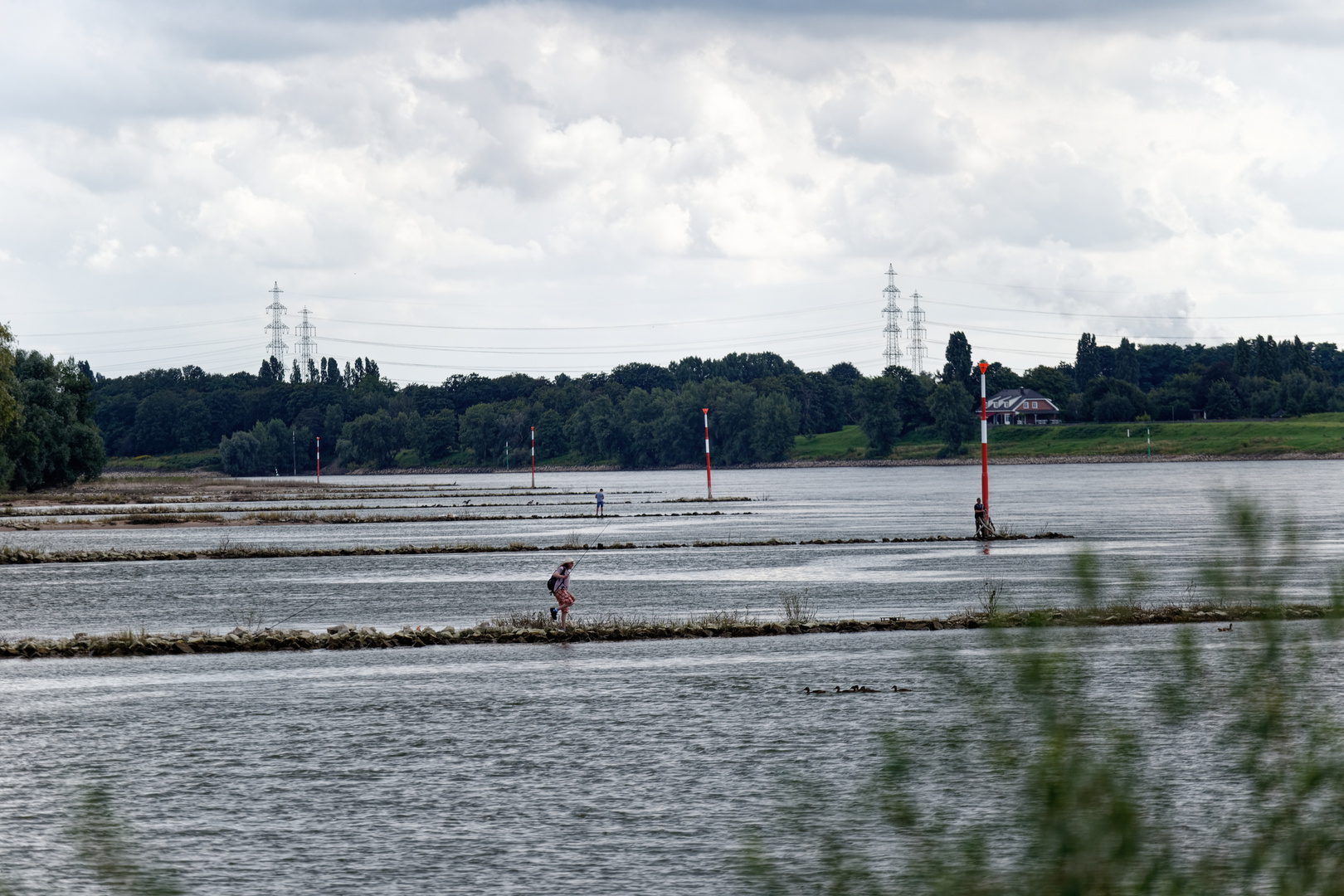 Angler am Rhein