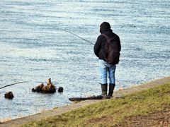 Angler am Rhein