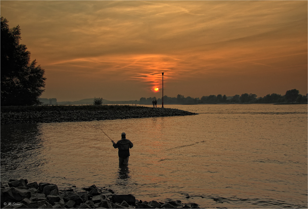 Angler am Rhein