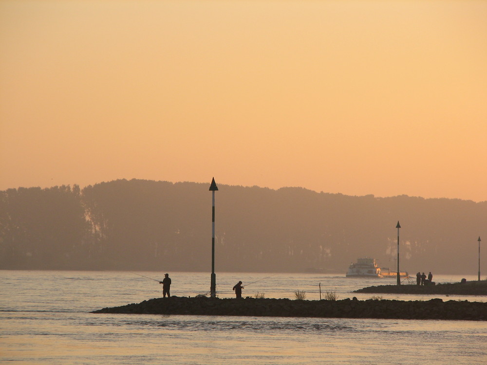 Angler am Rhein in der Morgen Sonne