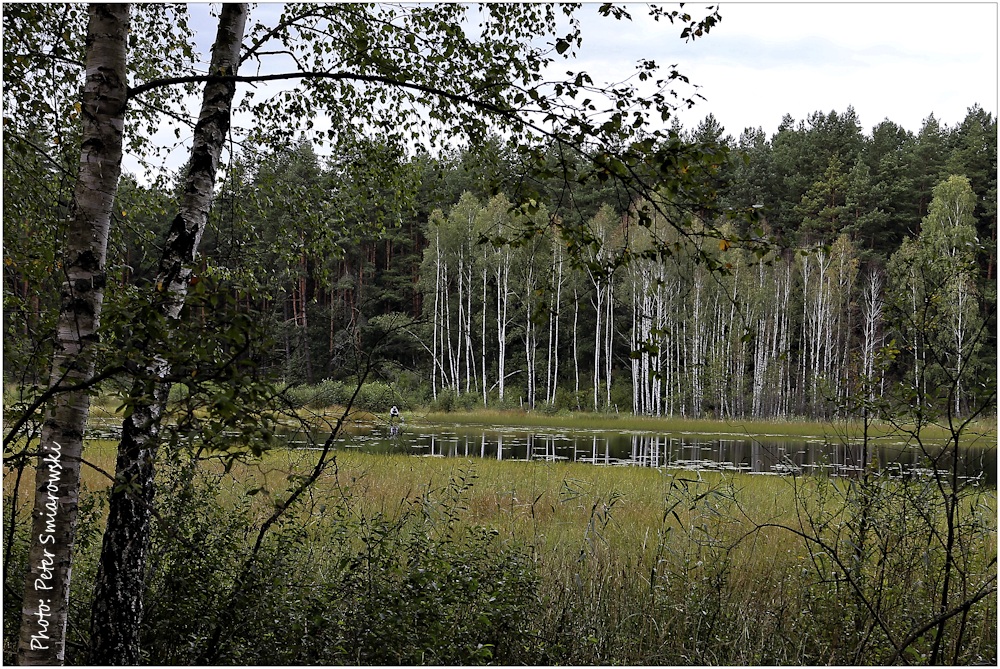 Angler am Torfmoorwaldsee