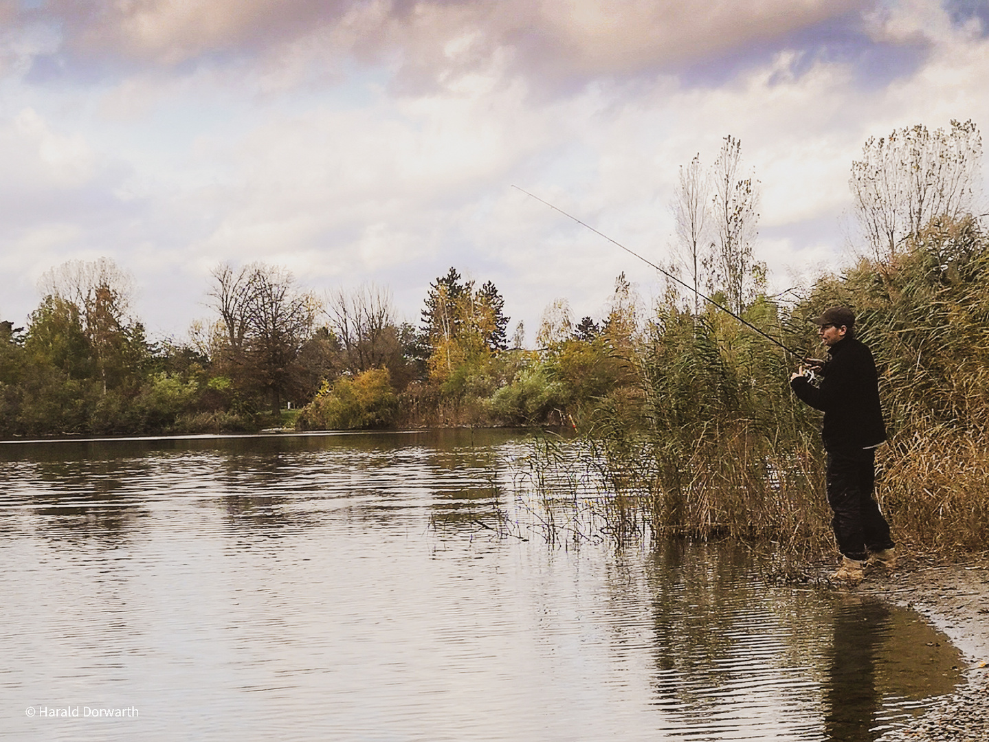 Angler am Waldsee