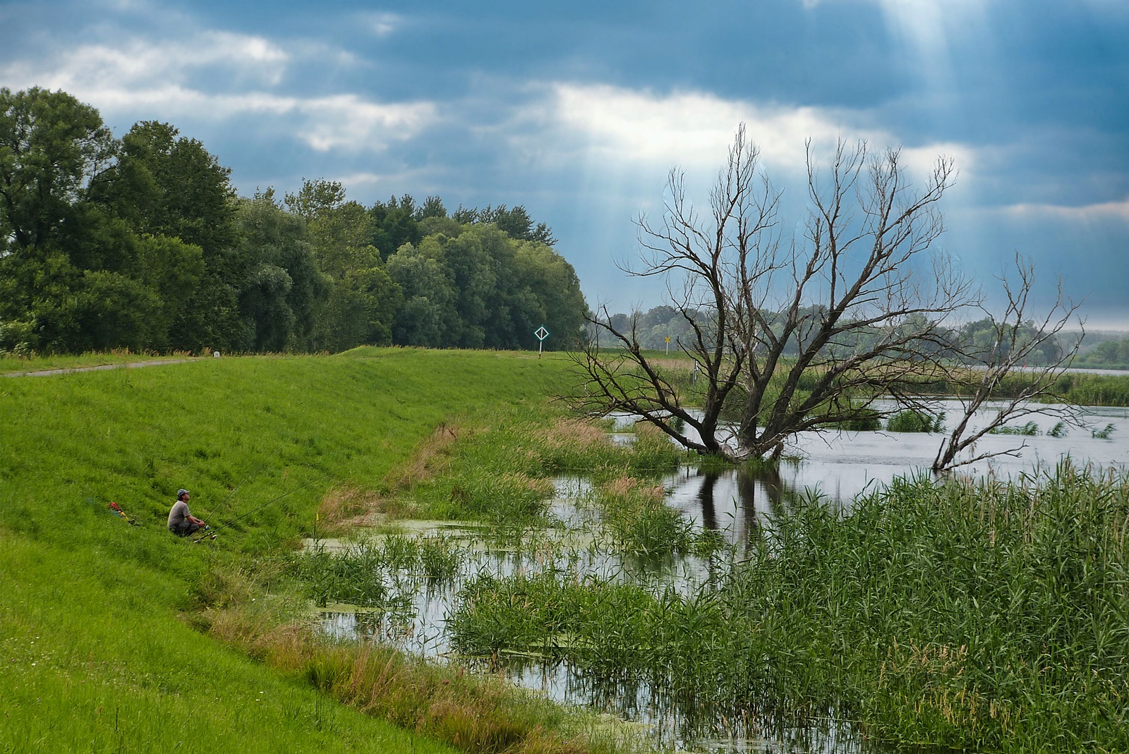 Angler an der Oder