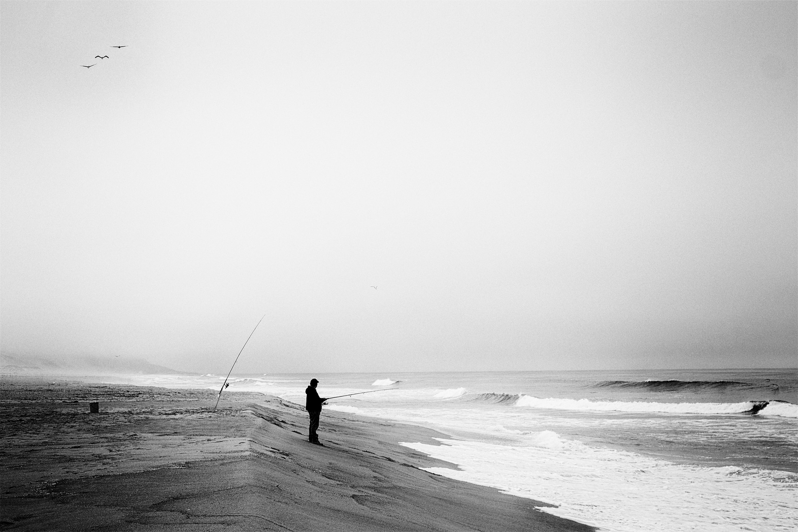 angler at west coast