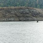 Angler auf dem Edersee