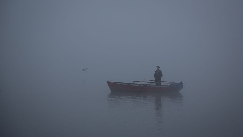 Angler auf dem Greifensee