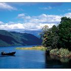 Angler auf dem Lake Rotoroa